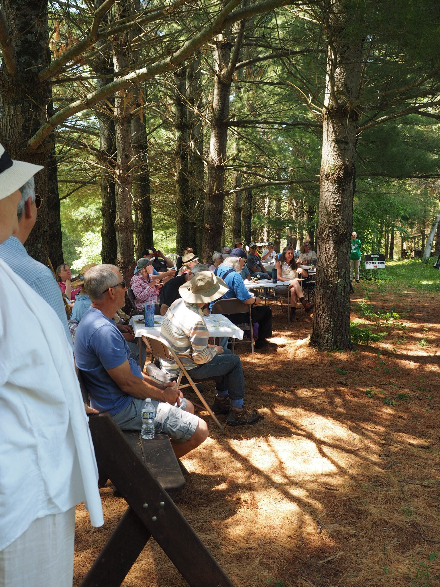 Attendees seated on benches and folding chairs in a shaded pine grove, listening to speakers at the field day.