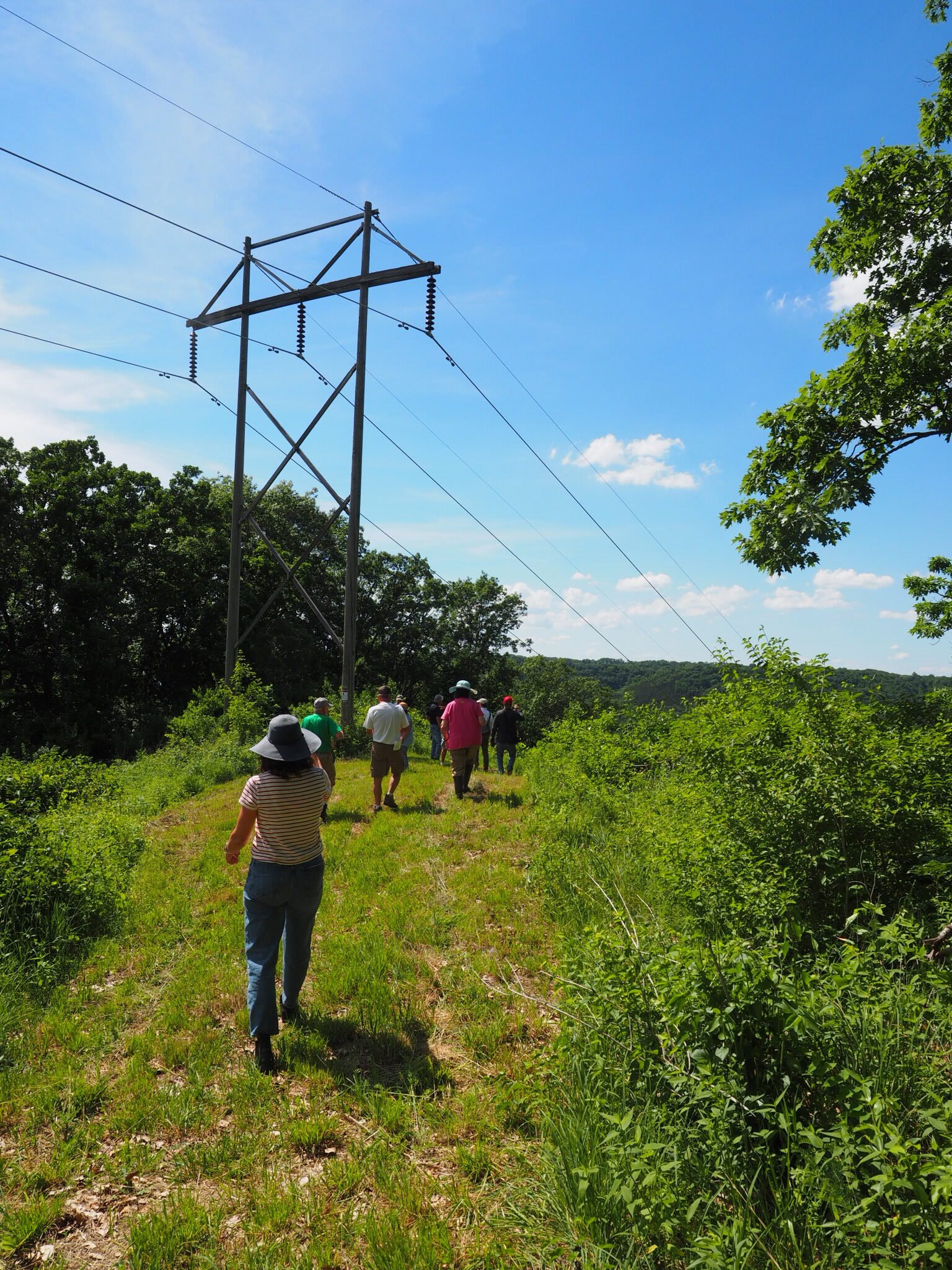 Field-day visitors walk up a grassy ridge path toward an existing steel transmission tower under a blue sky.
