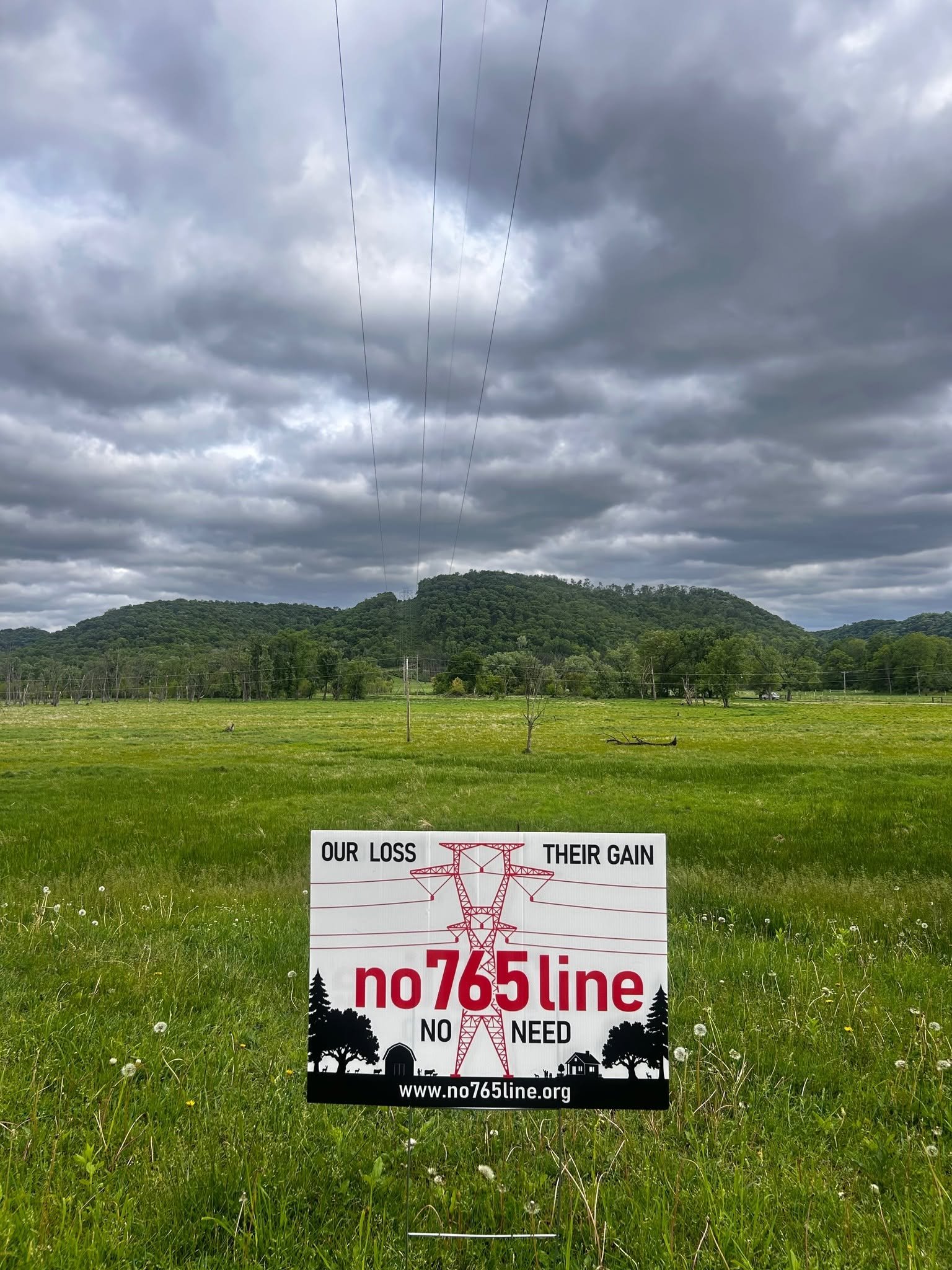 A No 765 Line yard sign — reading OUR LOSS, THEIR GAIN, NO NEED with a transmission-tower graphic — planted in a green Driftless pasture, with existing power lines and a wooded bluff behind it.