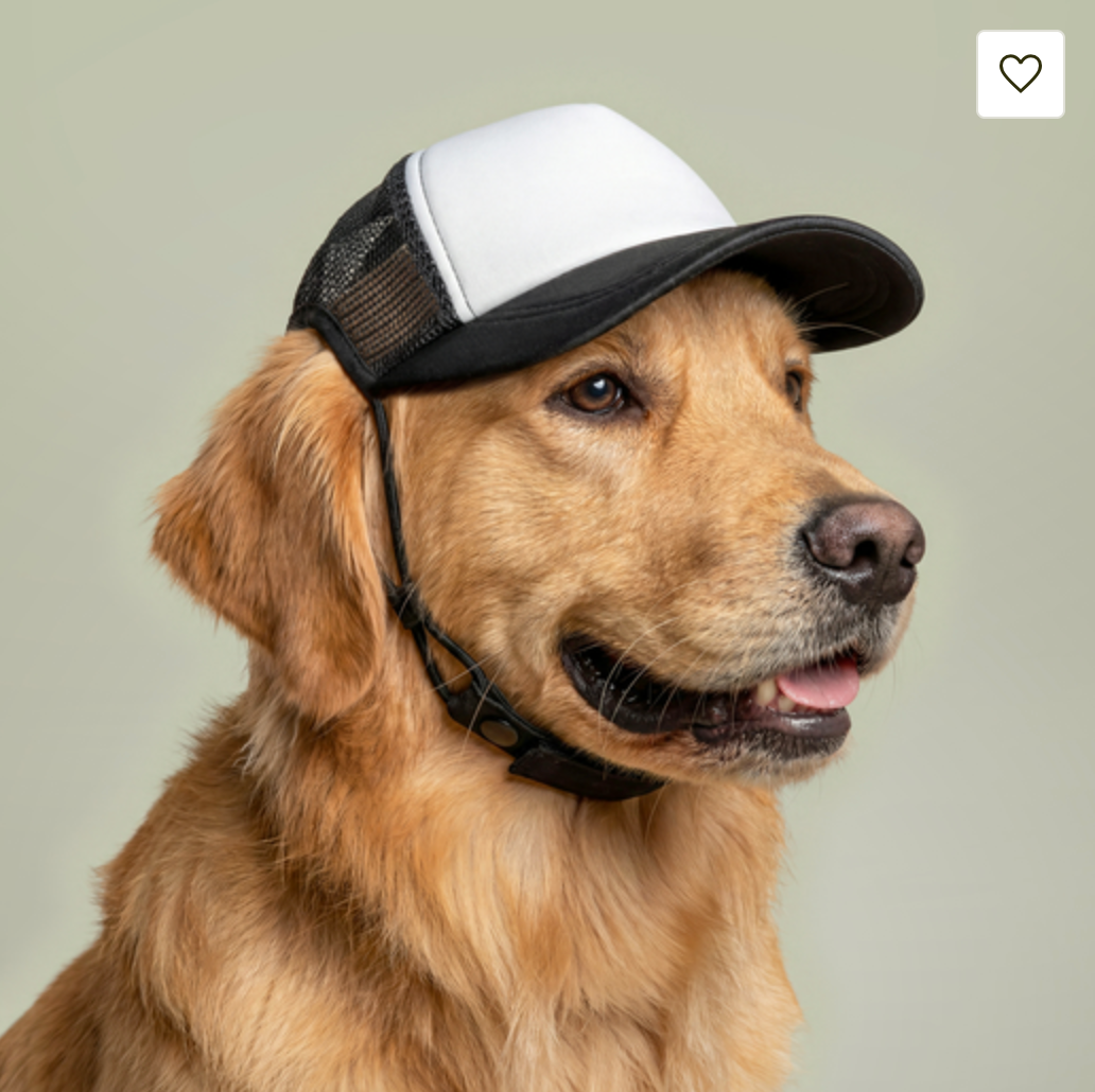 No 765 Line Dog Cap - Image 3